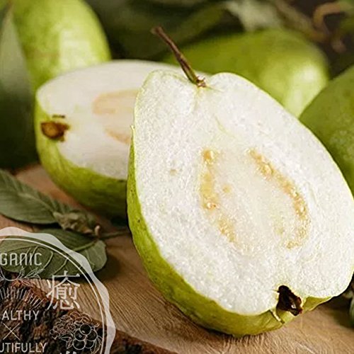 Amazon.co.jp: 台湾 ドライグアバ 100g ドライフルーツ 台灣原産 厳選